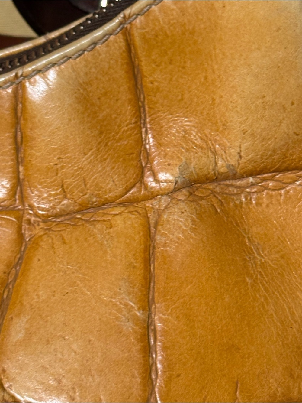 Dooney & Bourke Croc-Embossed Shoulder Bag (Has Callouts) - Picture 3 of 12
